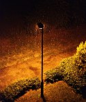 streetlight-raining